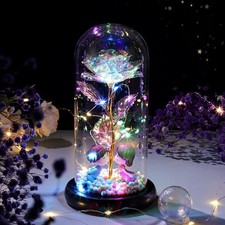 Flower In Glass Dome Eternal Forever Galaxy Rose LED Light Mother's Day Gifts