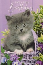 OPEN FEMALE MALE HAPPY BIRTHDAY GREETING CARD 7"X5" GREY KITTEN IN BASKET