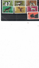 Romania 1981 EXPOZITIA  CANINA  SET MNH