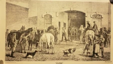 Original Engraving - "Clinic" by J. Francis Murphy - Historic Veterinary Scene