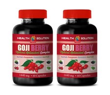 goji berry supplement - GOJI BERRY 40 EXTRACT - fat burner complex 2 Bottles