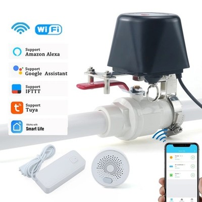 Smart Gas Valve WiFi Tuya Water Shut Off Timer Alexa Google DN15 DN20 DN25 12V