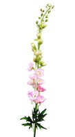 Artplants KüNstliche Blume Rittersporn Radunia, Rosa, 100Cm