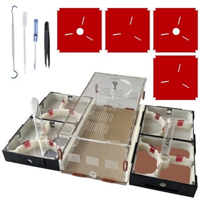 Ant Farm Nest Science DIY Terrarium Kit Care for Live Ants Ant Habitat with W...