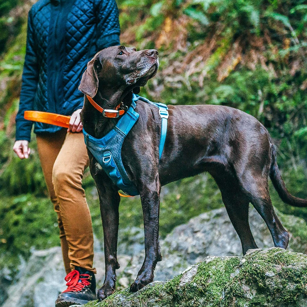 Dog Harness for Medium, & Small Active Dogs, Pet Hiking Harness for Running & Wa