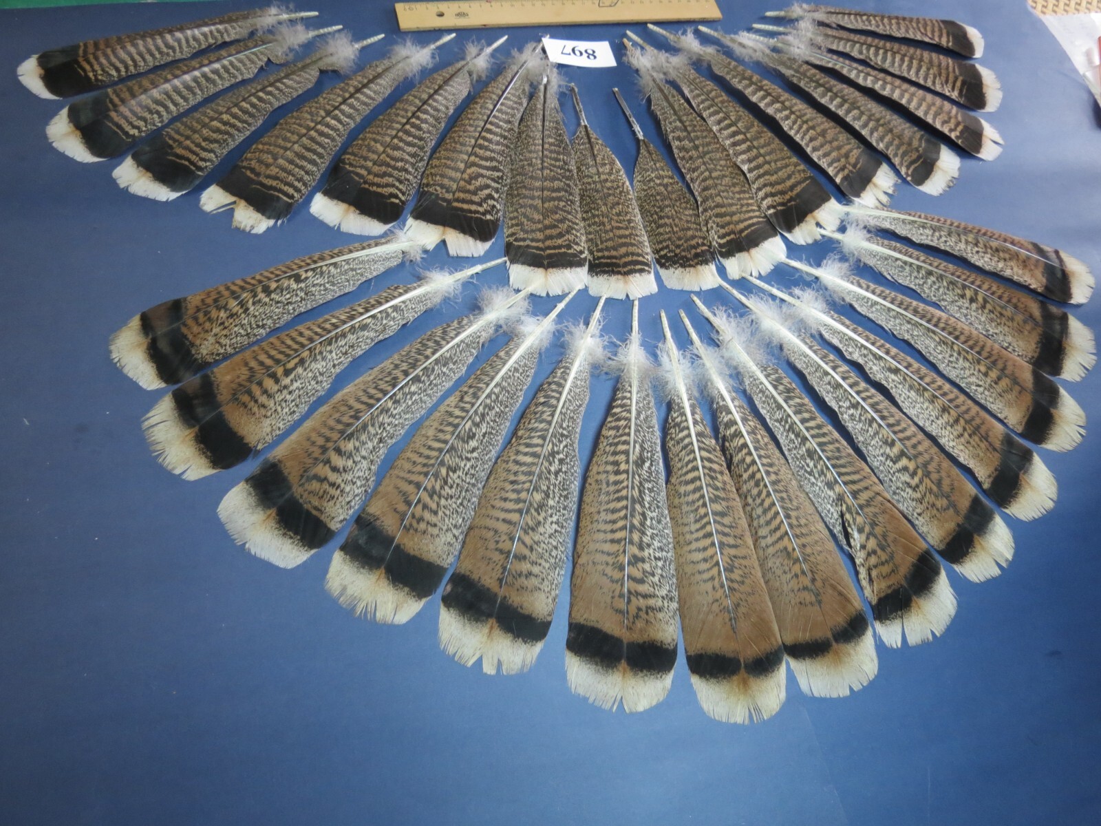 30 Pcs Turkey Tail Feathers, Fly Tying Materials,Rare Feathers. (897) eBay