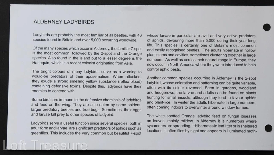 Alderney Stamps: "Alderney Ladybirds" Presentation Pack 2014 - Image 4 of 4