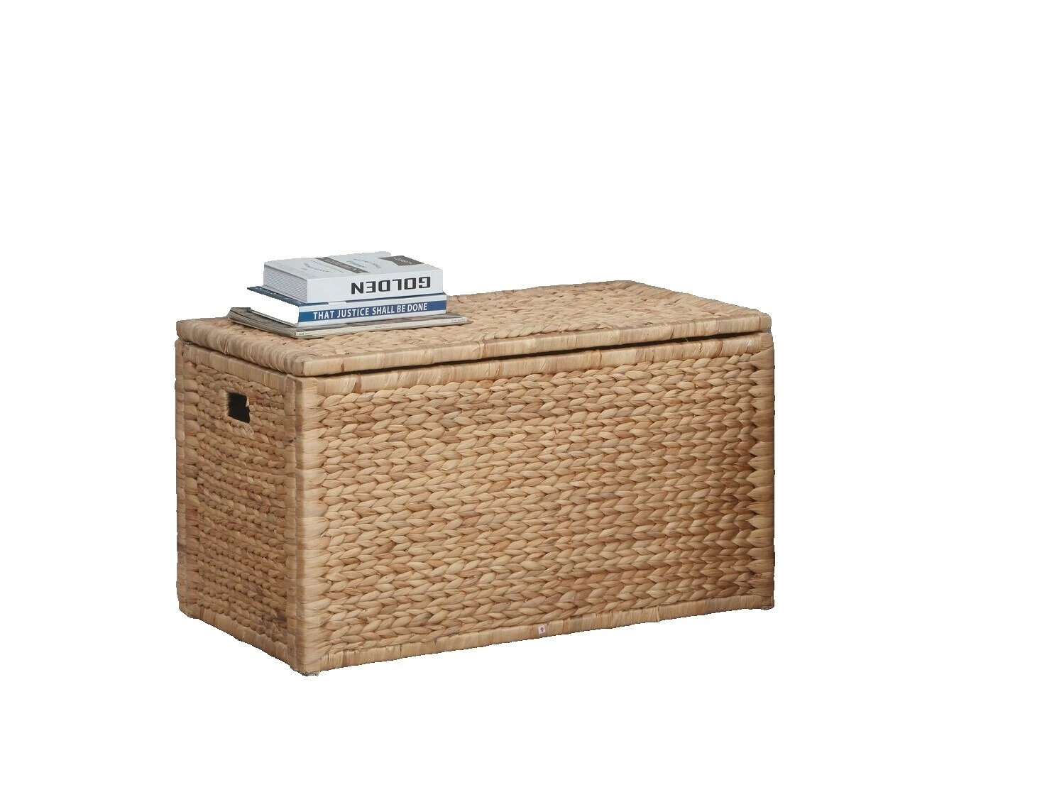 Country Metal Trunks