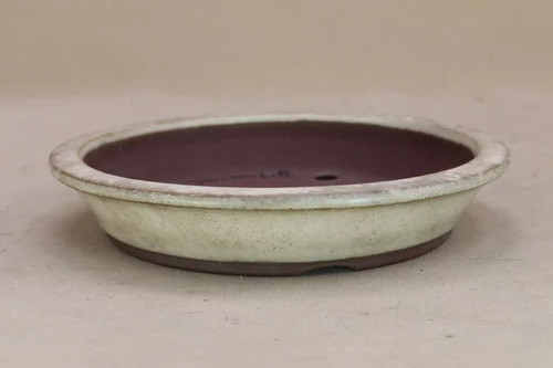 Antico vaso giapponese per bonsai Yamaaki bianco smaltato tondo 19,5 cm (7,7 pollici) - Foto 1 di 3