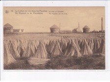 BELGIQUE: FLANDRE OCCIDENTALE: la culture du lin dans les flandres, la mise en