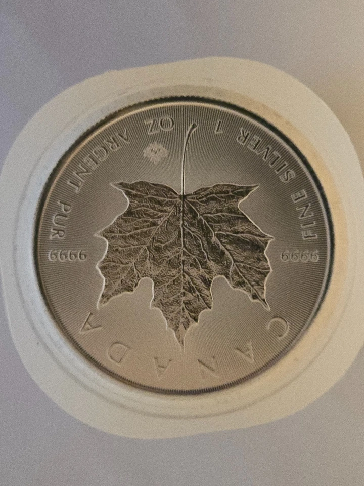 25x 1 Oz Silber 999 Maple Leaf 2020 25 Unzen Silber in Tube - Bild 3 von 4
