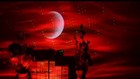 Bild 7 von 8