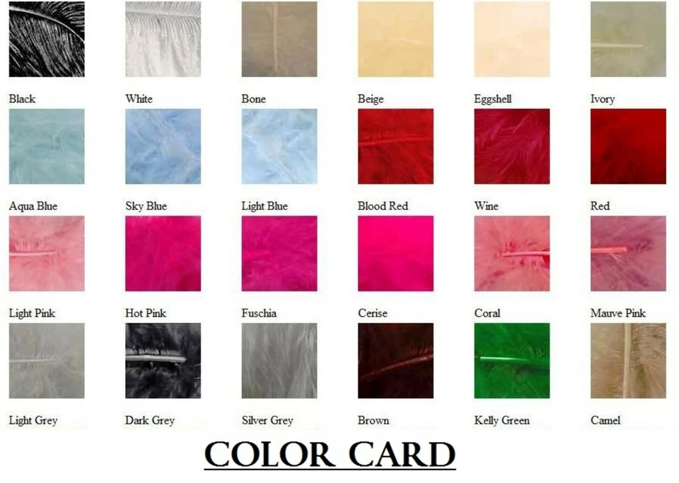 VENTILADOR Pluma Avestruz Grande 50" x 30" para Baile Burlesco/Disfraz/Halloween/Espectáculo Foto 3 de 4