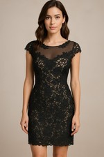 Cache Elegant Black Lace Leaf Edged Fitted Dress Sz 8