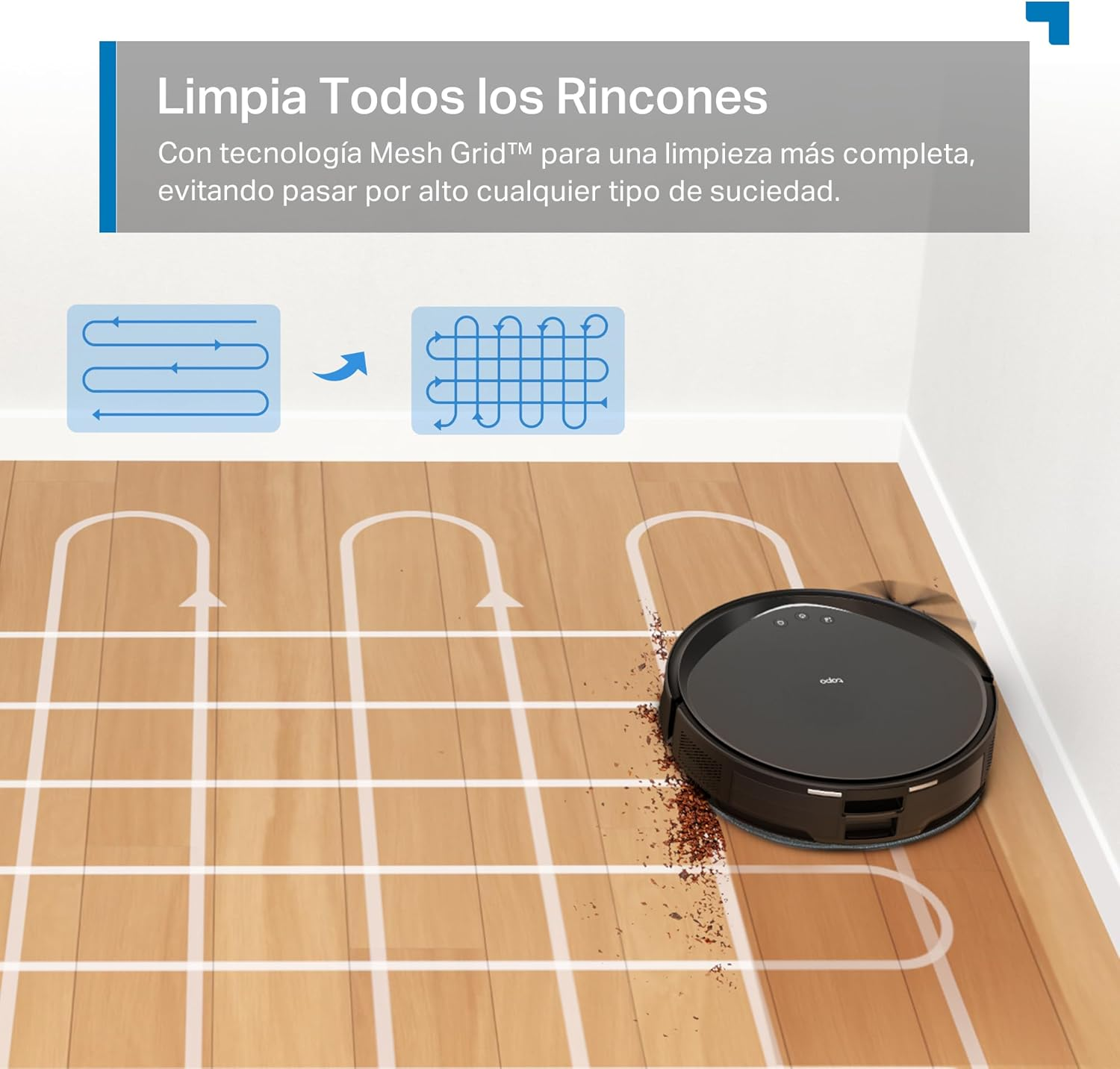 Imagen 5 de 11