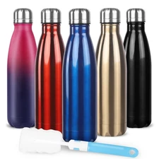 Sfee Insulated Water Bottle, 17 oz Stainless Steel Water Bottles, Double Wall...