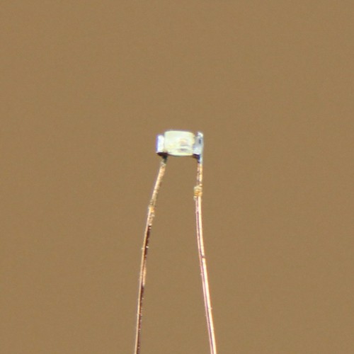20pcs Pre-wired micro 0.1mm Copper Wire SMD LED 0402 Blue Lights Lamps C0402B - Picture 4 of 7