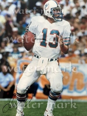 DAN MARINO MIAMI DOLPHINS REPRINT SIGNED PHOTO SIZE 8''X11''. #2