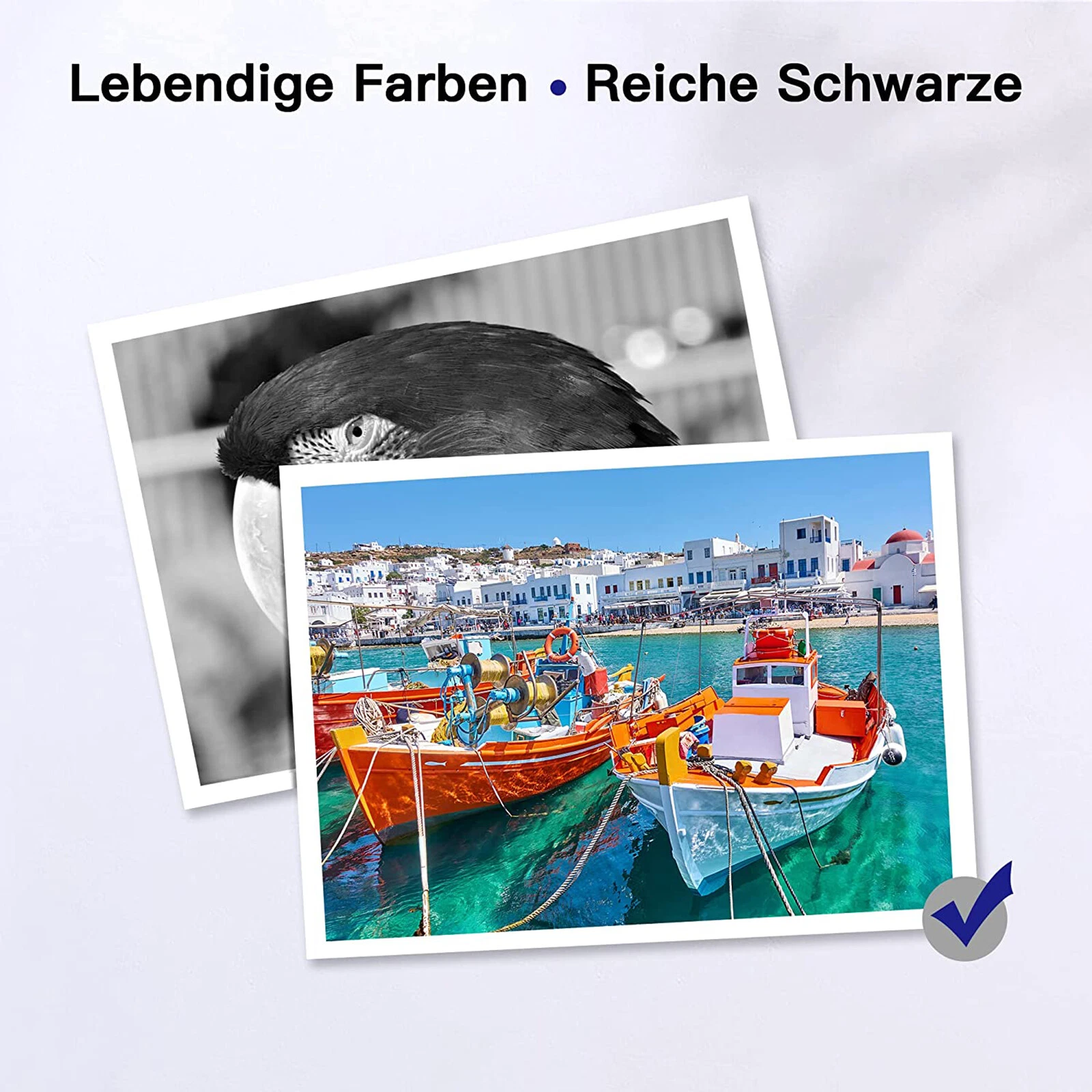 Bild 5 von 12