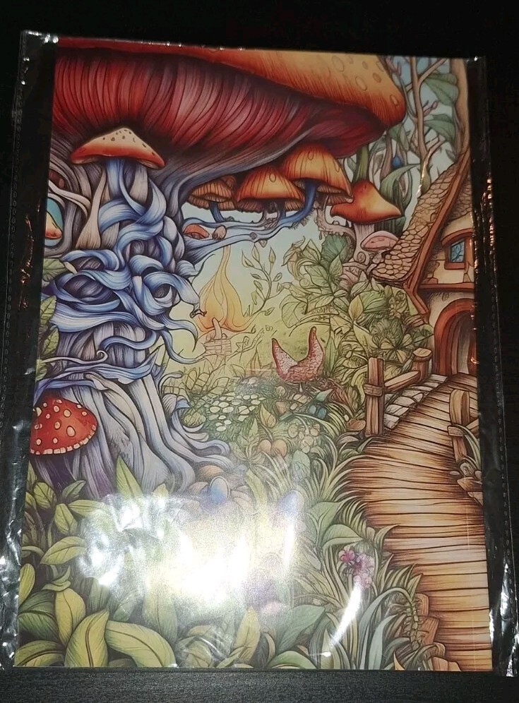 Picture 13 of 16