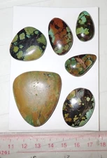Turquoise Stone Flat Free Form Cabochon 207 Carat 6 pieces 41.4 gram Lot A