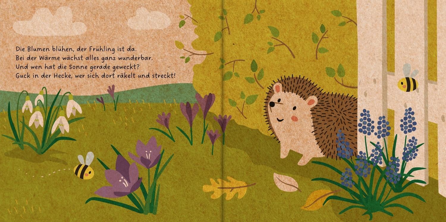 Thumbnail - Meine Gartenfreunde. Der Kleine Igel Carla Häfner