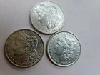 Morgan Silver Dollars  3