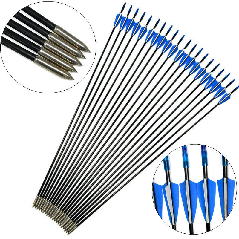 25x Archery Fiberglass Arrows Outdoor Target Points Recurve Bow Shooting Hunting eBay