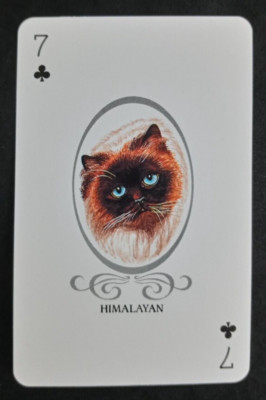Cat Lovers Playing Card Blue Back Himalayan 7 Clubs