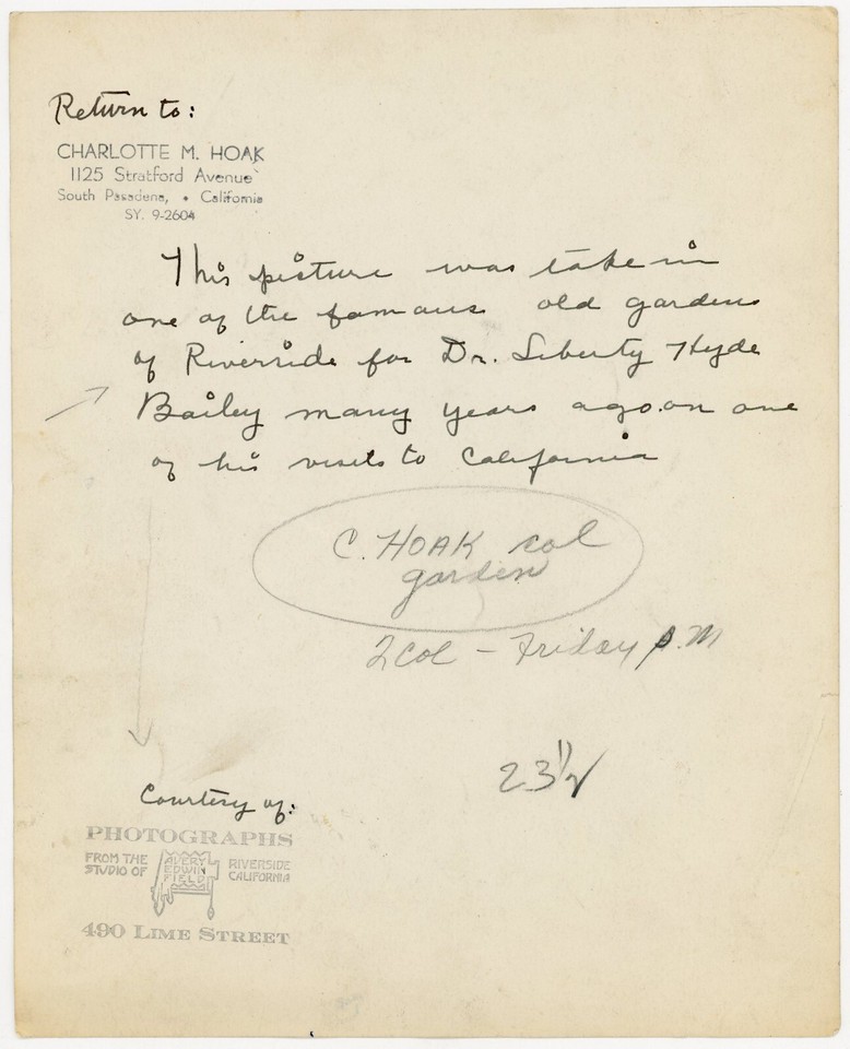 Vintage Riverside California Gardens Photograph 10