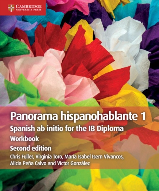 Panorama Hispanohablante 1 Workbook by Alicia Pena Calvo (Paperback Book)