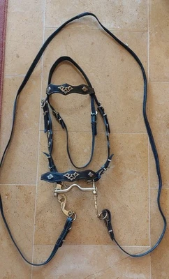 Bridon Western Cuir Tubulaire Clouté Plein De Rênes