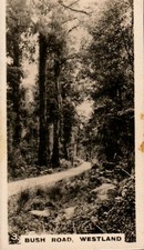 Cigarette Card WD & HO Wills New Zealand # 3 Bush Road Westland