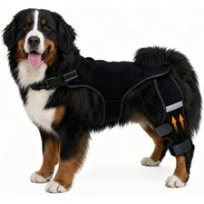 2XL Adjustable Dog Knee Brace Four-Stabilizers for Luxating Patella and ACL Pain