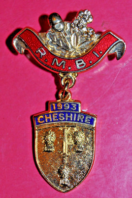 1993 Royal Masonic Benevolent Institution Festival Stewards Jewel RMBI *