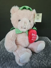 Modern Expressions 14" Super Soft & Cuddly Bear Stuffed Animal NEW Love You Berr
