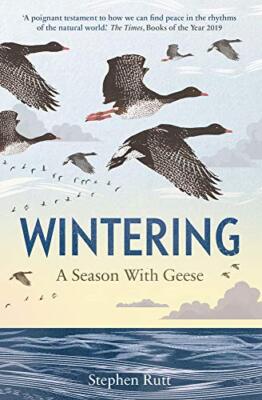 Wintering: A Season With Geese By Stephen Rutt. 9781783965052
