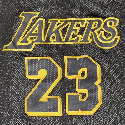 mamba lebron james jersey