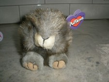 NEW Puffkins Plush NUTTY THE SQUIRREL birthday is 5-22-97