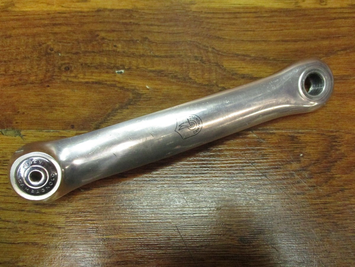 Campagnolo Chorus Chain Ring / - 52 - AS - / BCD 135 mm