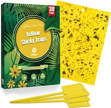 30-Pack Dual-Sided Yellow Sticky Traps for Indoor Outdoor Flying Plant Insect Fu