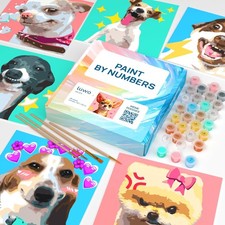 LuwoArte 6 Pack Paint by Numbers Kit for Adults   Meme Animals   Funny Paint