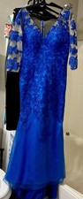 Stunning Royal Blue Sheer Lace Evening Gown with Floral Applique