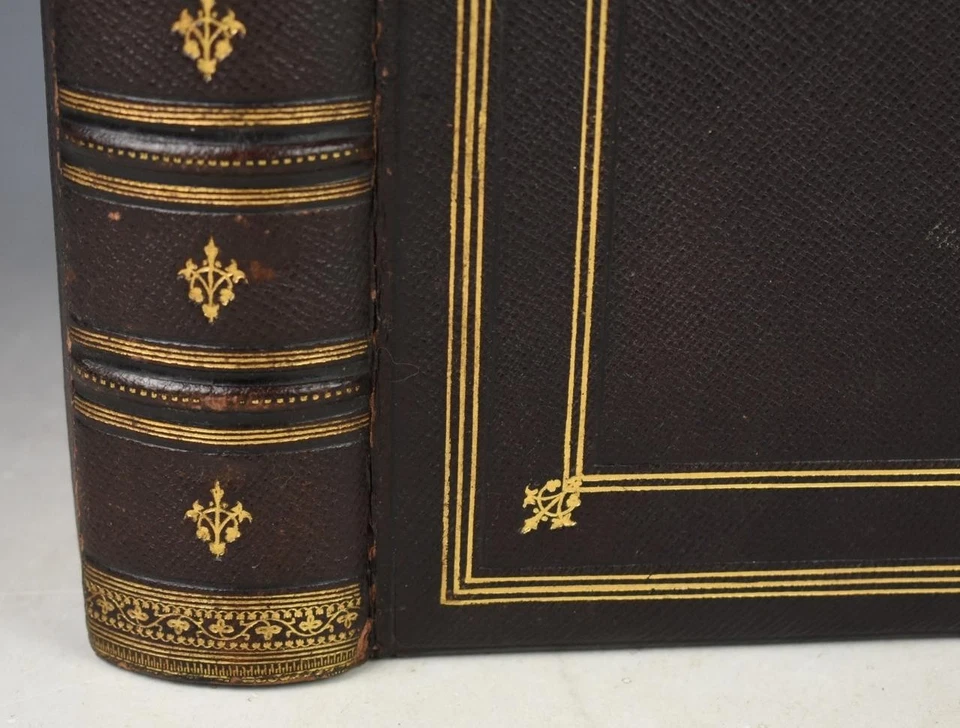 LARGE Vol with STUNNING Gauffered GILT edges Ruskin Modern Painters Mountain - Image 4 of 4