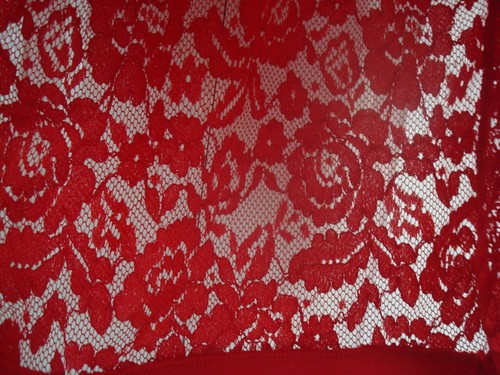 ~ SIMPLY BE ~ Sheer Stretch ROSE LACE Scalloped Arm edges TUNIC TOP Red 22 BNWT - Picture 3 of 11