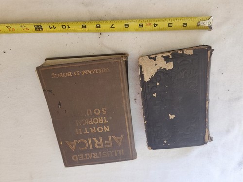 Moffats Southern Africa 1847 Original Printing & Illustrated Affrica Boyce 1925 - Imagen 11 de 15