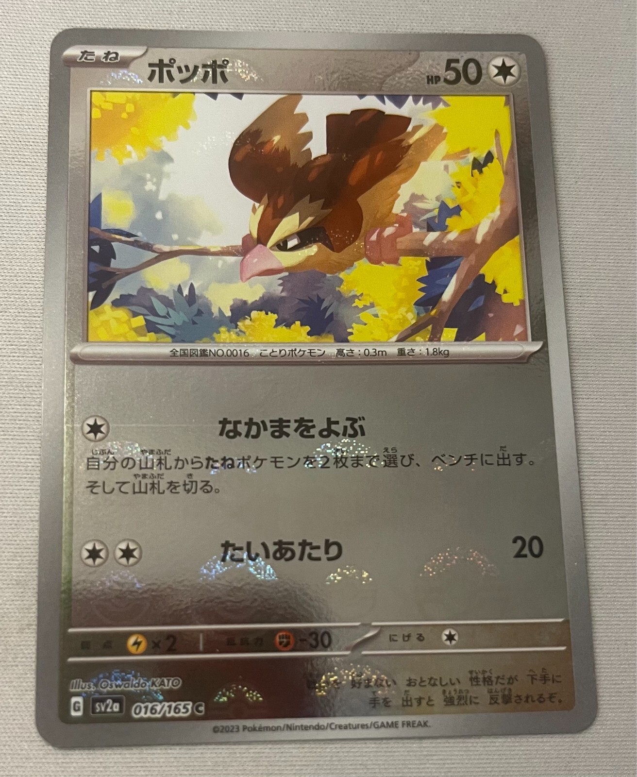 (907) Pokemon Japanese SV2a 151 Reverse Holo POKE BALL Pidgey 016/165 NM