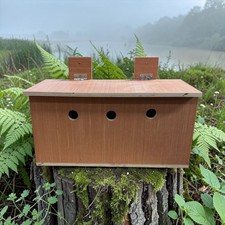 Sparrow Nest Box Terrace Colony House Wooden Roosting, Its The Perfect Box