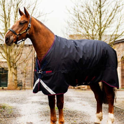 Horseware Ireland Amigo Bravo 12 XL 0g Lite Weidedecke