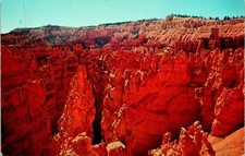 Bryce Canyon National Park UT Full View Postcard unused (27327)